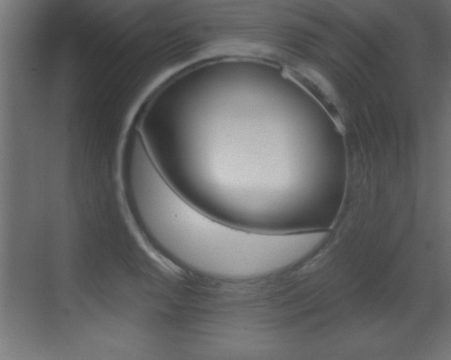X0000069831128200605190935