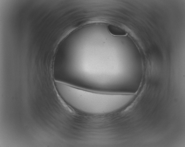 X0000069831137200605190935