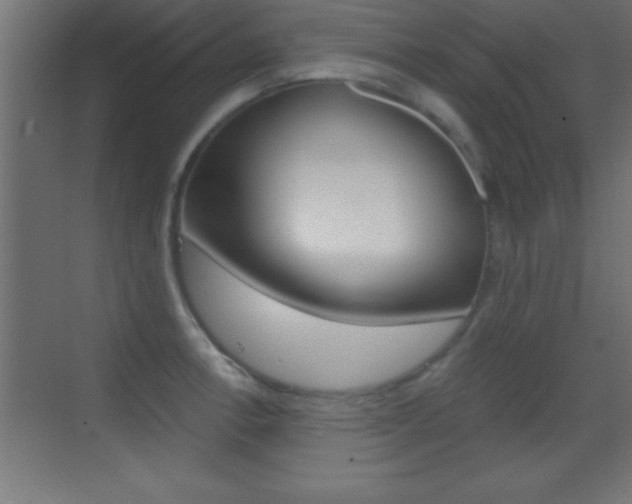 X0000069831138200605190935