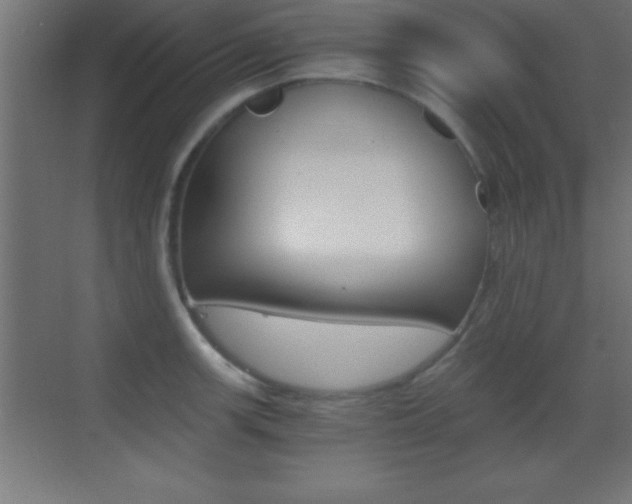 X0000069831139200605190935