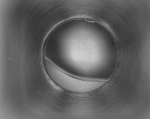 X0000069831140200605190935