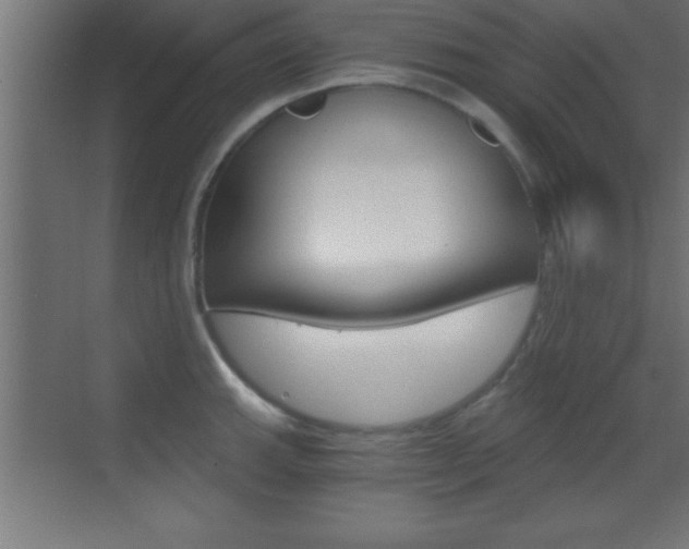 X0000069831143200605190935