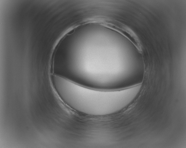 X0000069831146200605190935