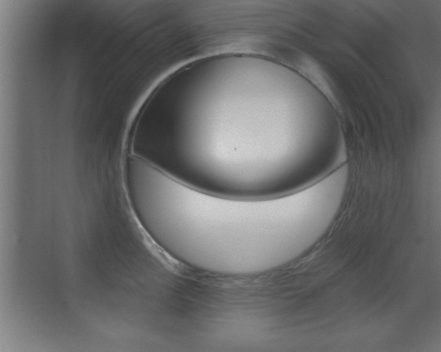 X0000069831148200605190935