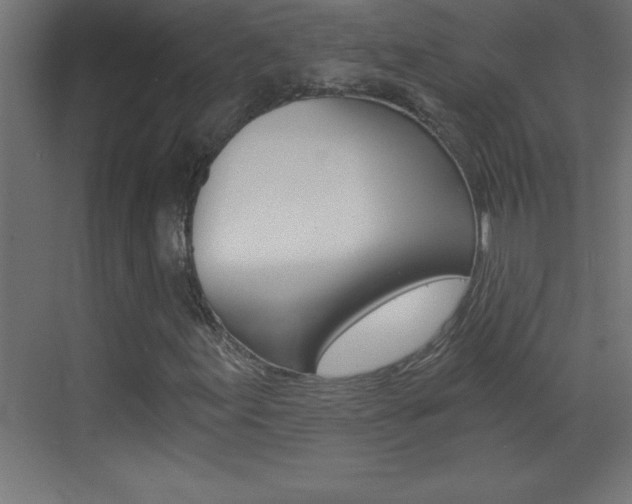 X0000069831155200605190934