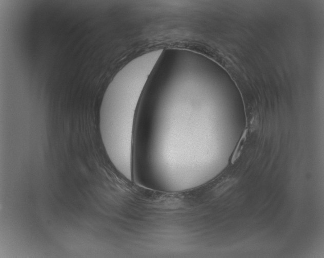 X0000069831156200605190934