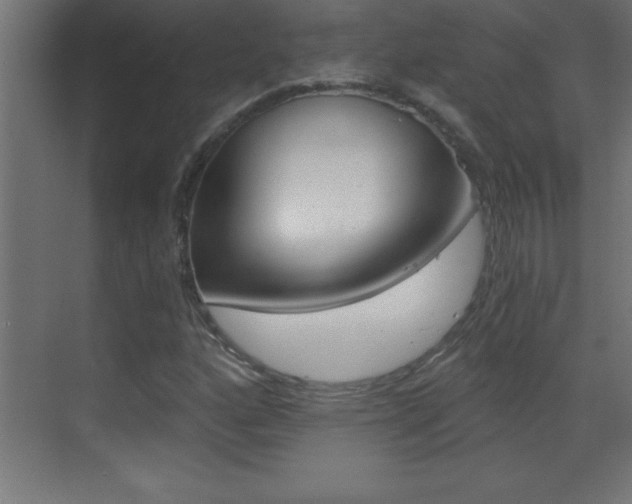 X0000069831160200605190934