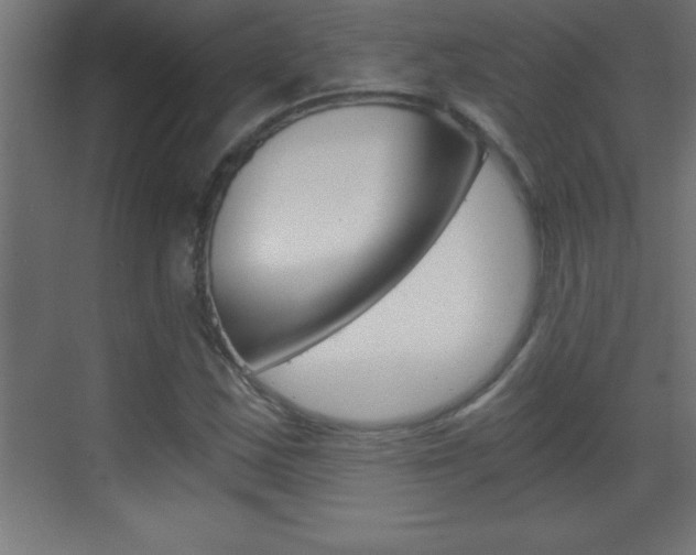 X0000069831163200605190934