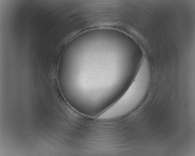 X0000069831169200605190934