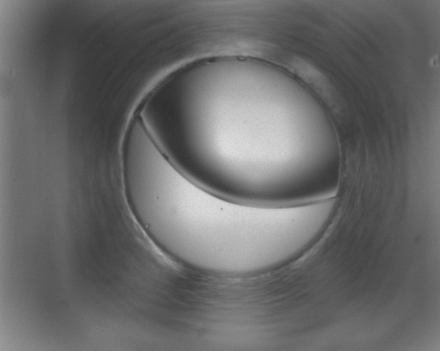 X0000069831184200605190934
