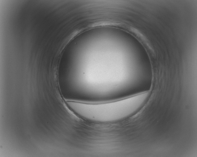 X0000069831185200605190934