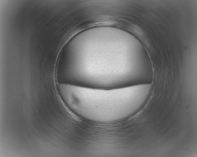 X0000069831186200605190934