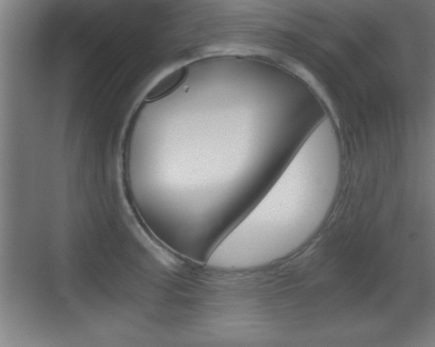 X0000069831187200605190934