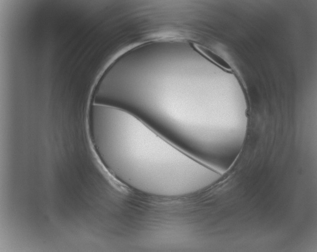 X0000069831195200605190934