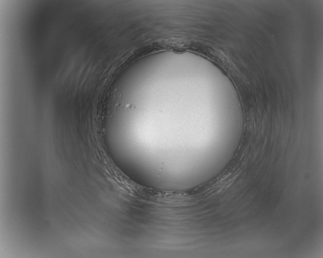 X0000069831201200605190933