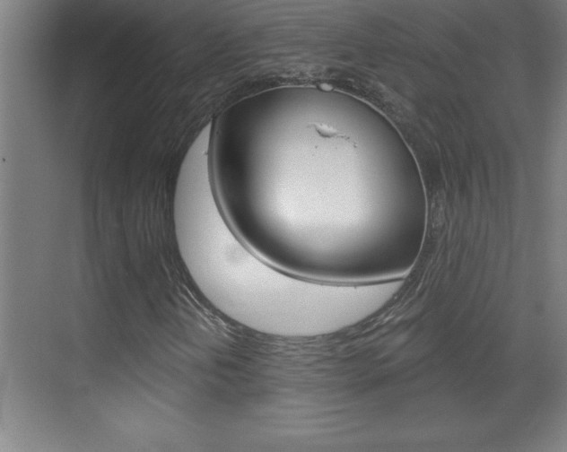 X0000069831202200605190933