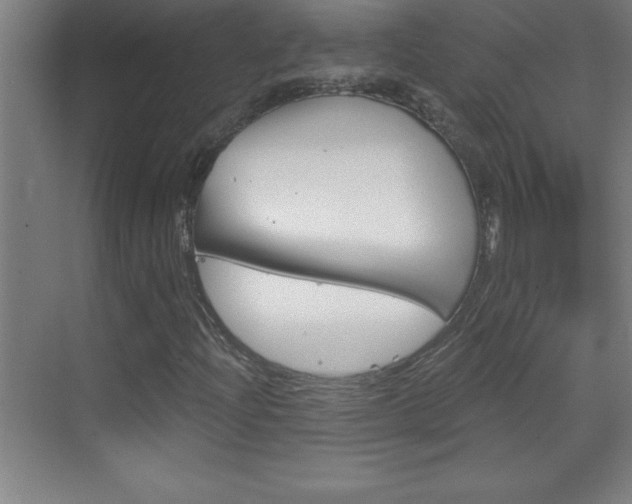 X0000069831204200605190933