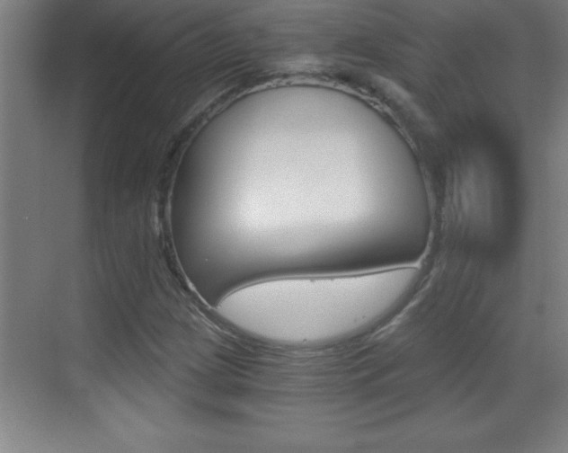X0000069831209200605190933