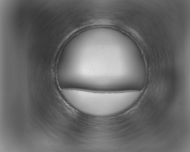 X0000069831212200605190933