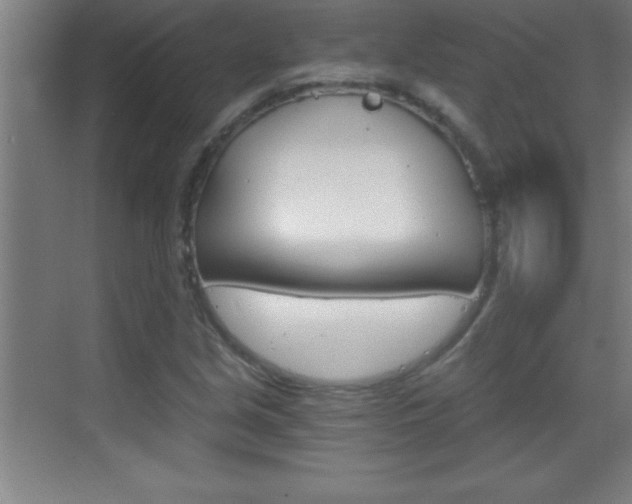 X0000069831213200605190933