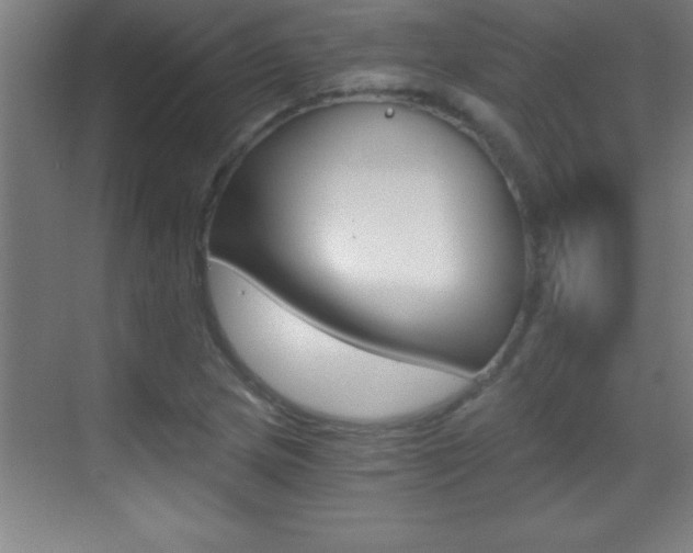 X0000069831217200605190933