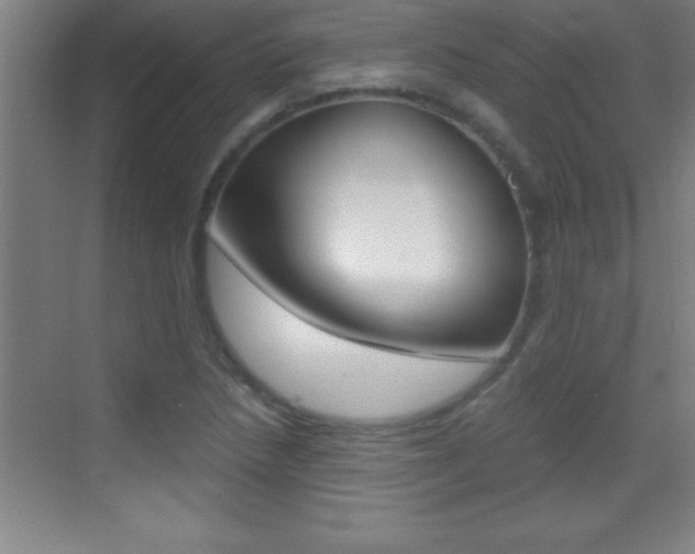 X0000069831218200605190933