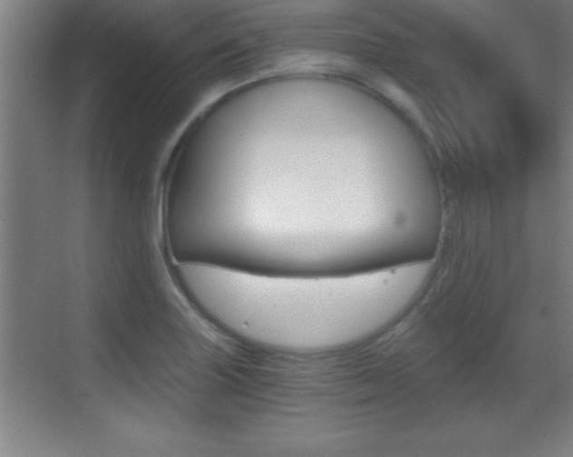 X0000069831227200605190933