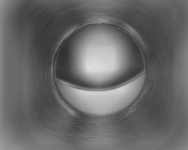 X0000069831234200605190933