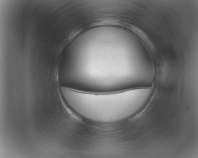 X0000069831241200605190933