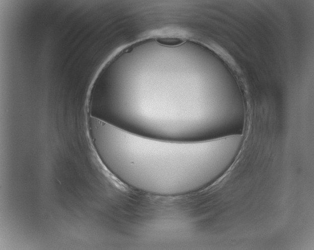 X0000069831248200605190934