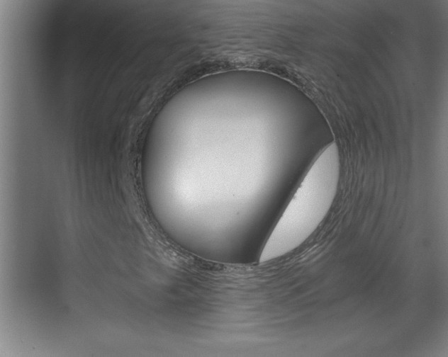 X0000069831249200605190933