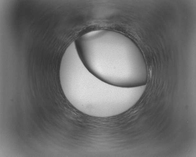 X0000069831251200605190933