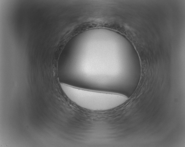 X0000069831253200605190933