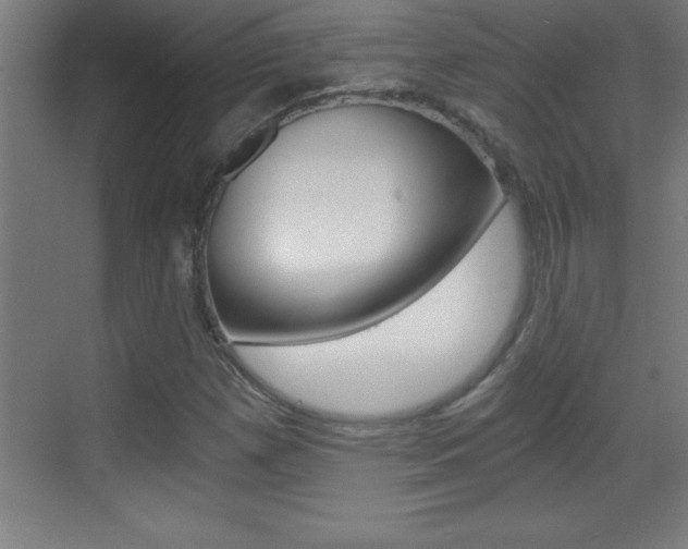 X0000069831257200605190933