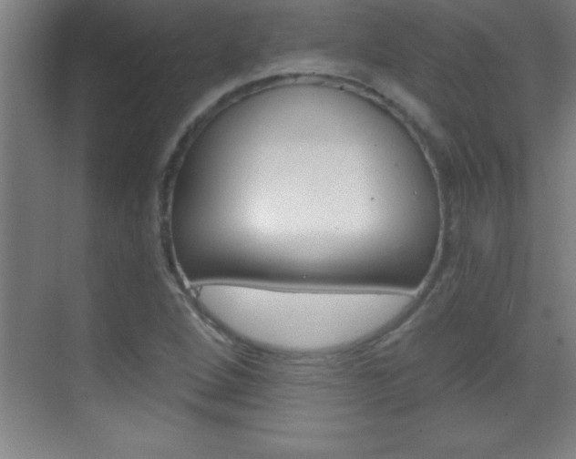 X0000069831264200605190933