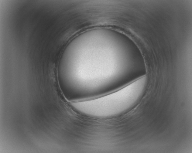 X0000069831265200605190933