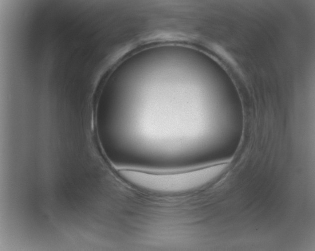 X0000069831269200605190932
