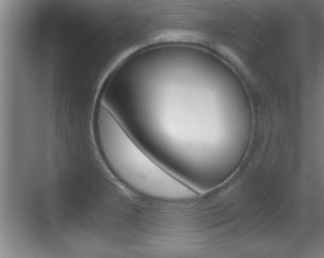 X0000069831277200605190932