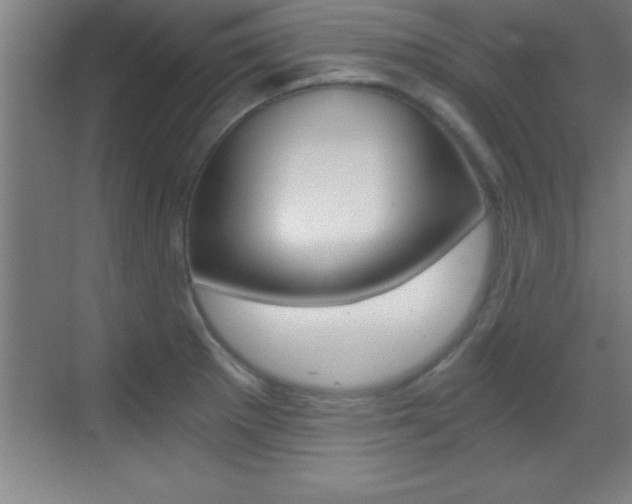 X0000069831281200605190932
