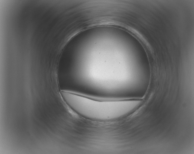 X0000069831289200605190932