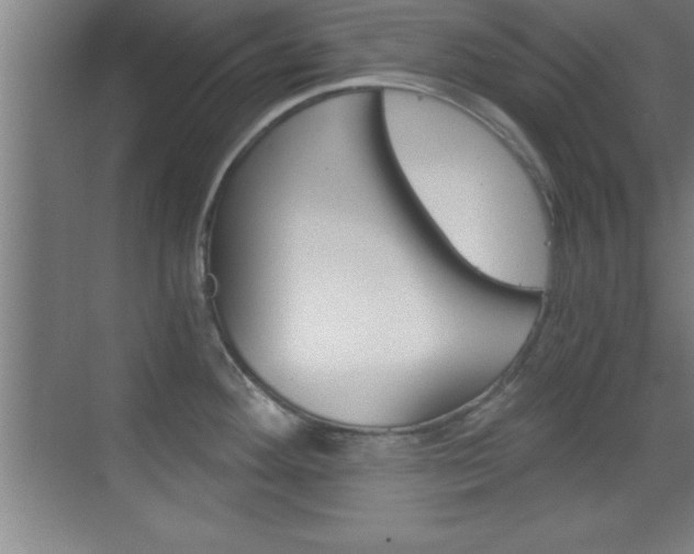 X0000069831292200605190932