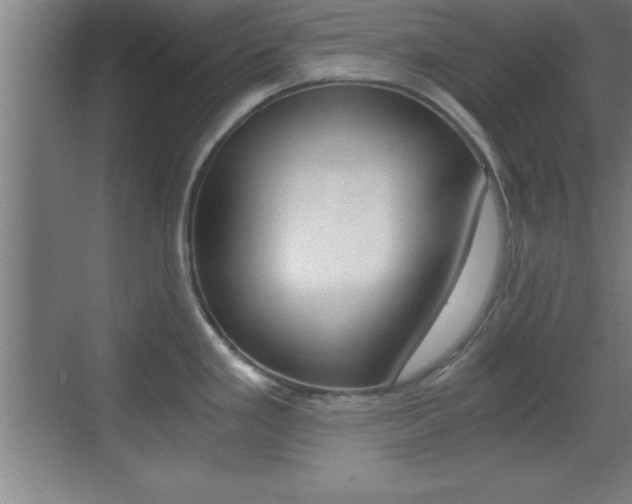 X0000069831293200605190932