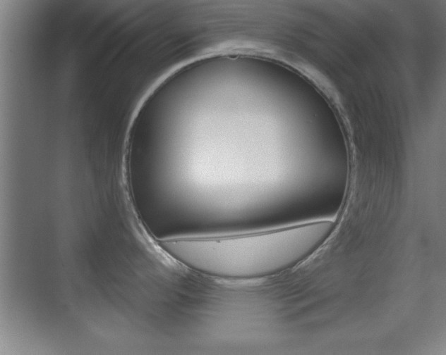 X0000069831296200605190932