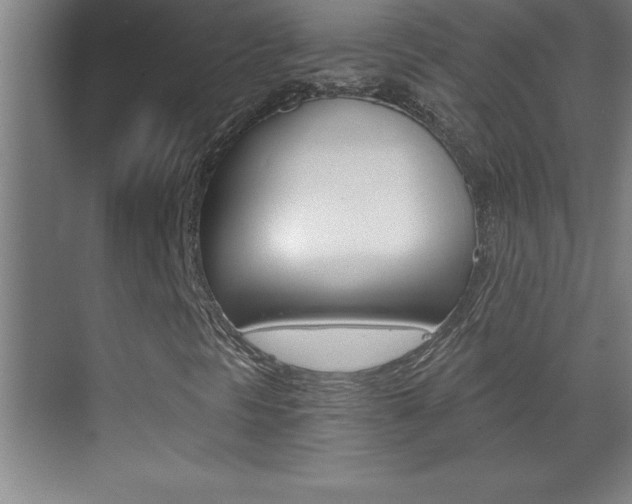 X0000069831297200605190931