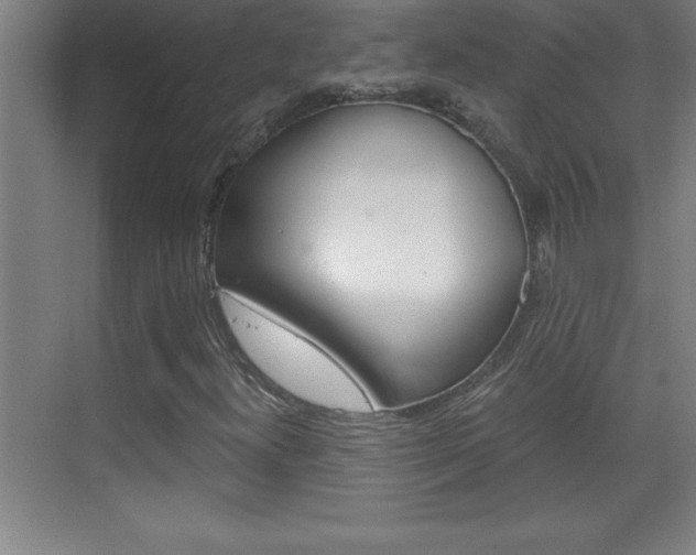 X0000069831300200605190931