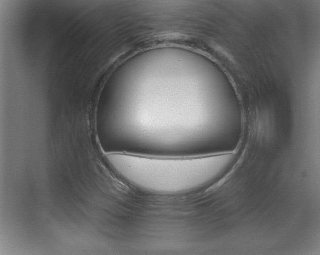 X0000069831305200605190931