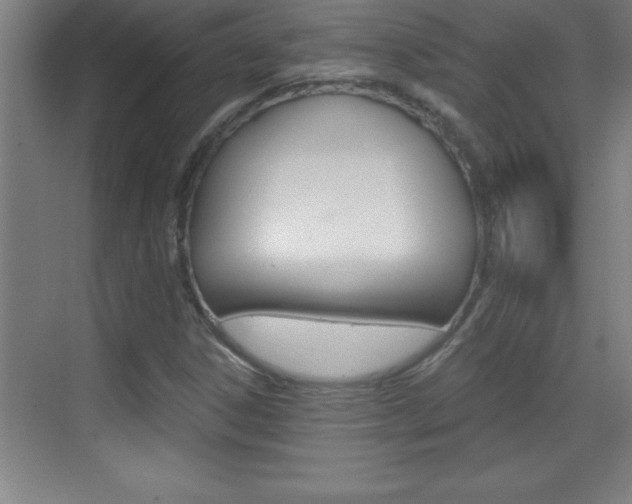 X0000069831306200605190931