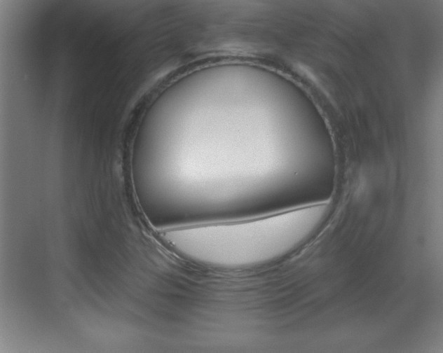 X0000069831307200605190931