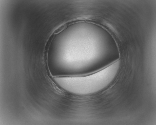 X0000069831308200605190931