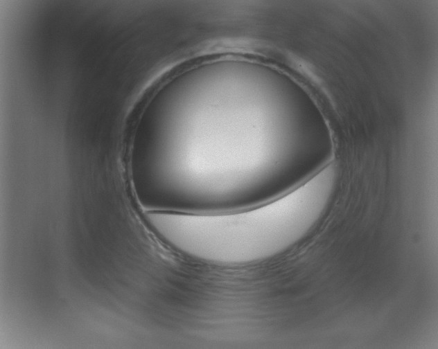 X0000069831312200605190931
